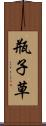 瓶子草 Scroll