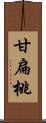 甘扁桃 Scroll