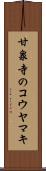 甘泉寺のコウヤマキ Scroll