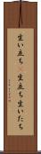 生い立ち(P) Scroll