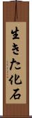 生きた化石 Scroll