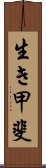 Ikigai Scroll