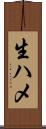生ハメ Scroll