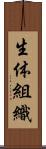 生体組織 Scroll