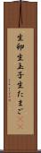 生卵 Scroll