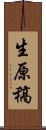 生原稿 Scroll