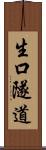 生口隧道 Scroll