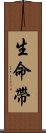 生命帶 Scroll