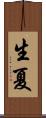 生夏 Scroll