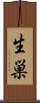 生巣 Scroll
