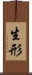 生形 Scroll