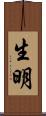 生明 Scroll