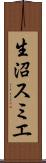生沼スミエ Scroll