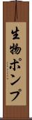 生物ポンプ Scroll