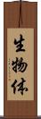 生物体 Scroll