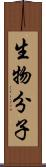 生物分子 Scroll