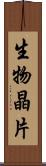 生物晶片 Scroll