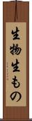 生物 Scroll