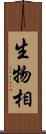 生物相 Scroll