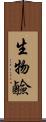 生物鹼 Scroll
