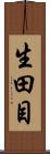 生田目 Scroll