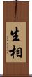 生相 Scroll
