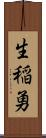 生稲勇 Scroll