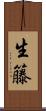 生籐 Scroll
