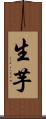生芋 Scroll
