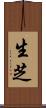 生芝 Scroll
