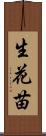 生花苗 Scroll