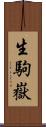 生駒嶽 Scroll