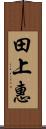 田上惠 Scroll