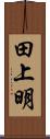 田上明 Scroll