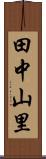 田中山里 Scroll