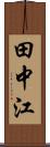 田中江 Scroll