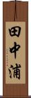 田中浦 Scroll