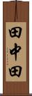 田中田 Scroll