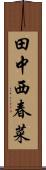田中西春菜 Scroll