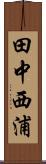 田中西浦 Scroll