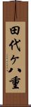 田代ヶ八重 Scroll
