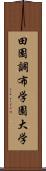 田園調布学園大学 Scroll