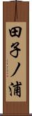 田子ノ浦 Scroll