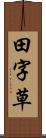 田字草 Scroll