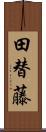 田替藤 Scroll