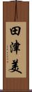 田津美 Scroll