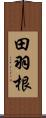 田羽根 Scroll