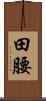 田腰 Scroll