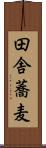 田舎蕎麦 Scroll