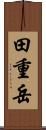 田重岳 Scroll